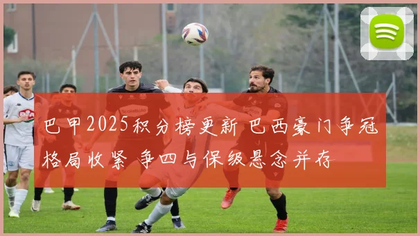 巴甲2025积分榜更新 巴西豪门争冠格局收紧 争四与保级悬念并存
