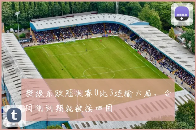 樊振东欧冠决赛0比3连输六局，合同刚到期就被接回国