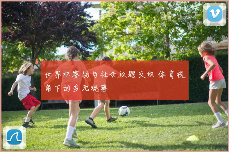 世界杯赛场与社会议题交织 体育视角下的多元观察